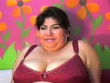 Sexo por Webcam con Gordas Guarras